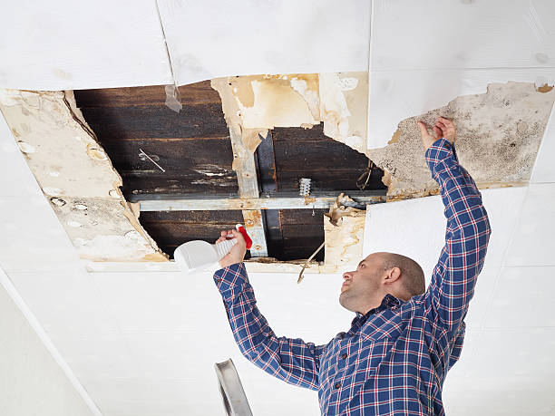 Best Mold Remediation for Healthcare Facilities  in Godfrey, IL